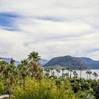 фото из отзыва ID 1510262