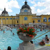 фото из отзыва ID 1510317