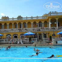 фото из отзыва ID 1510317