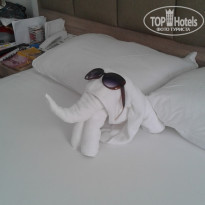 фото из отзыва ID 1510330