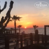 фото из отзыва ID 1510416