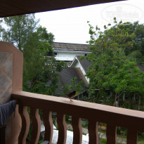 фото из отзыва ID 1510594