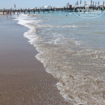 фото из отзыва ID 1510646