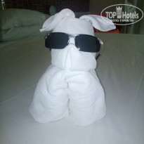 фото из отзыва ID 1510681