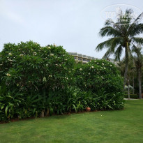 фото из отзыва ID 1510766