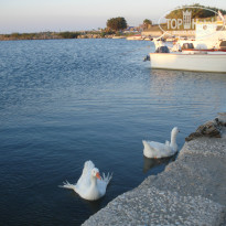 фото из отзыва ID 1510759