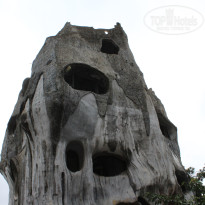 фото из отзыва ID 1510805