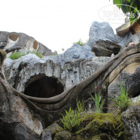 фото из отзыва ID 1510805