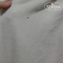 фото из отзыва ID 1510880