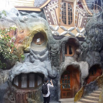 фото из отзыва ID 1510889