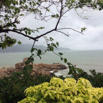 фото из отзыва ID 1510889