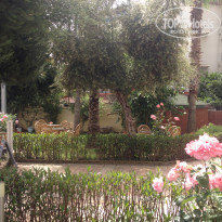 фото из отзыва ID 1510926