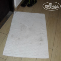 фото из отзыва ID 1511154