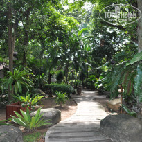 фото из отзыва ID 1511223