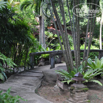 фото из отзыва ID 1511223