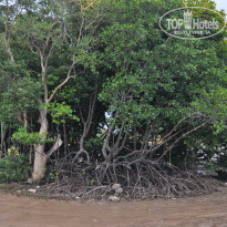 фото из отзыва ID 1511223