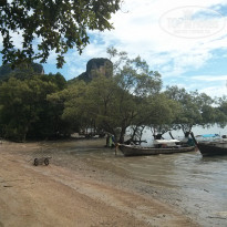 фото из отзыва ID 1511223