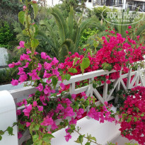 фото из отзыва ID 1511282