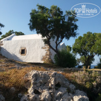 фото из отзыва ID 1511282