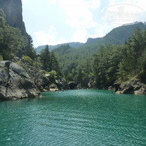 фото из отзыва ID 1511404