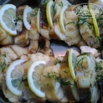 фото из отзыва ID 1511466