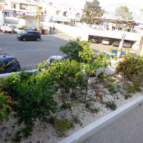 фото из отзыва ID 1511647