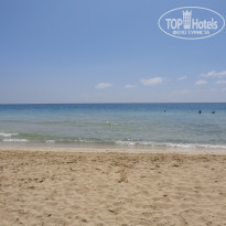 фото из отзыва ID 1511647