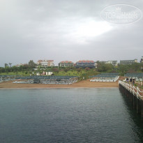 фото из отзыва ID 1511654