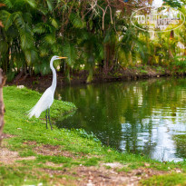 фото из отзыва ID 1511662