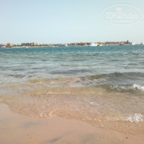 фото из отзыва ID 1511711