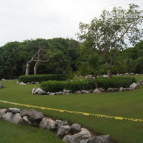 фото из отзыва ID 1511925