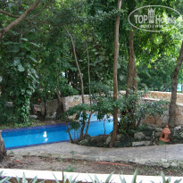 фото из отзыва ID 1511925