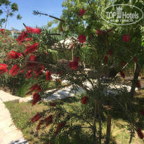 фото из отзыва ID 1511945