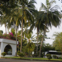 фото из отзыва ID 1511994