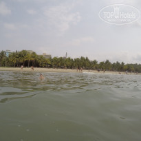 фото из отзыва ID 1511995