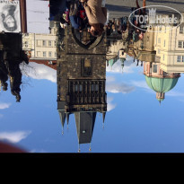 фото из отзыва ID 1512014