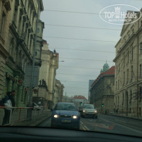 фото из отзыва ID 1512014