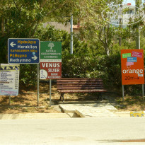 фото из отзыва ID 1512113