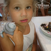 фото из отзыва ID 1512179