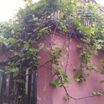 фото из отзыва ID 1512196