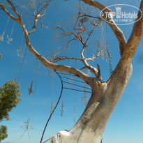 фото из отзыва ID 1512255