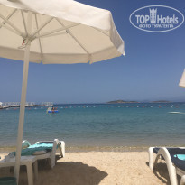 фото из отзыва ID 1512444