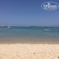 фото из отзыва ID 1512444