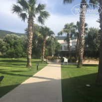 фото из отзыва ID 1512444