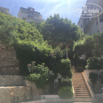 фото из отзыва ID 1512518