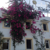 фото из отзыва ID 1512711