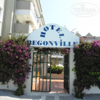 фото из отзыва ID 1512758