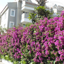 фото из отзыва ID 1512758