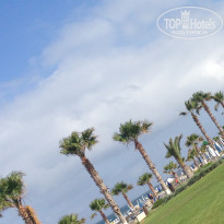 фото из отзыва ID 1512853