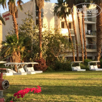 фото из отзыва ID 1512945